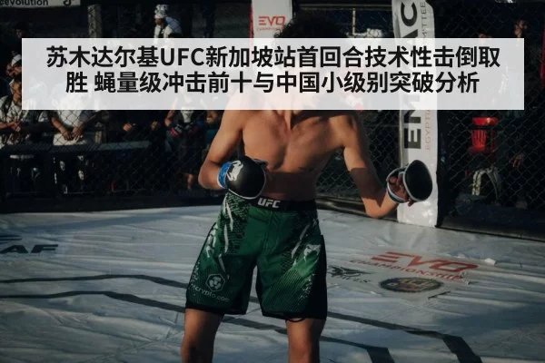 苏木达尔基UFC新加坡站首回合技术性击倒取胜 蝇量级冲击前十与中国小级别突破分析