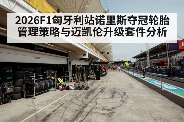 2026F1匈牙利站诺里斯夺冠轮胎管理策略与迈凯伦升级套件分析