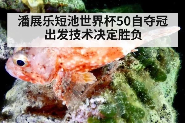 潘展乐短池世界杯50自夺冠 出发技术决定胜负